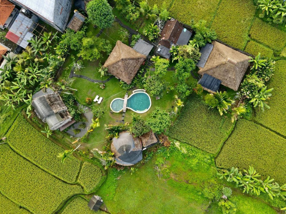 Ubud Hidden Villa Yone Village מראה חיצוני תמונה