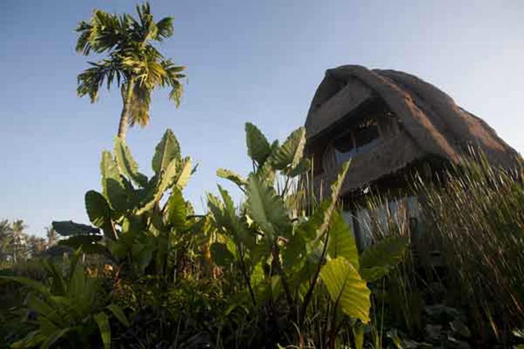 Ubud Hidden Villa Yone Village מראה חיצוני תמונה