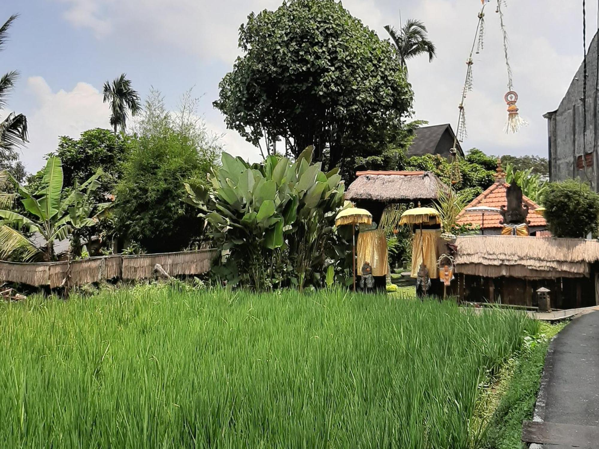 Ubud Hidden Villa Yone Village מראה חיצוני תמונה