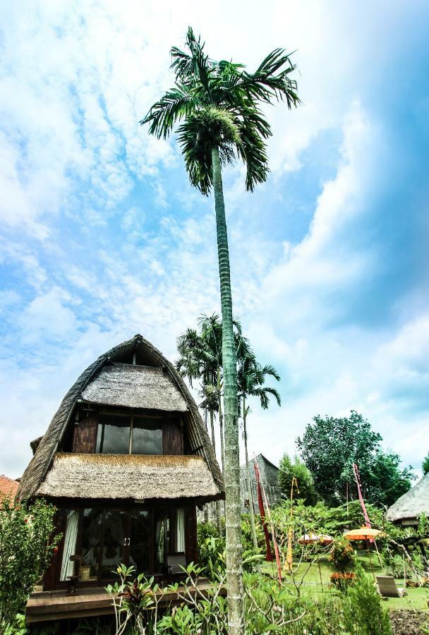 Ubud Hidden Villa Yone Village מראה חיצוני תמונה